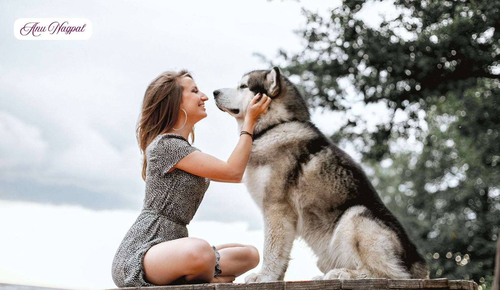 Best Animal Telepathic Communicator in Noida & Delhi NCR